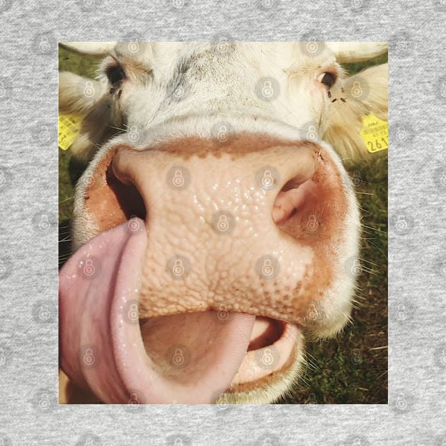 Portrait Of Cow Cute Funny Cow Gift by Karin Wright